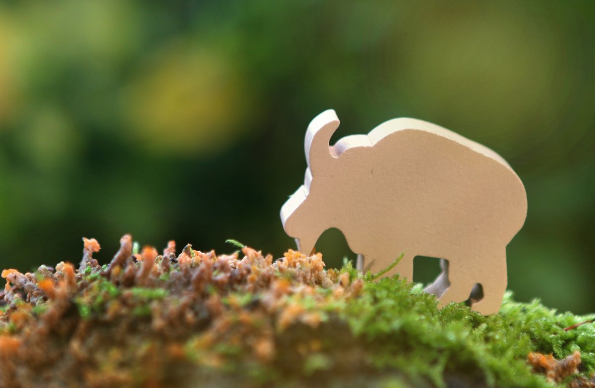 Everdell: Spirecrest