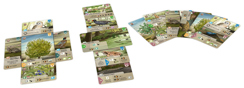 Forest Shuffle - Dartmoor [NL]