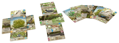 Forest Shuffle - Dartmoor [NL]